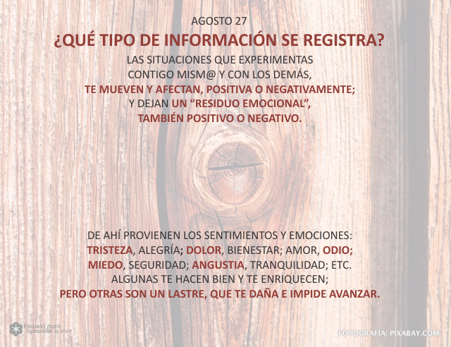 ¿Qué tipo de información se registra?